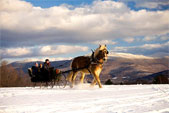 Vermont Sleigh Ride
