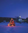 Christmas Winter